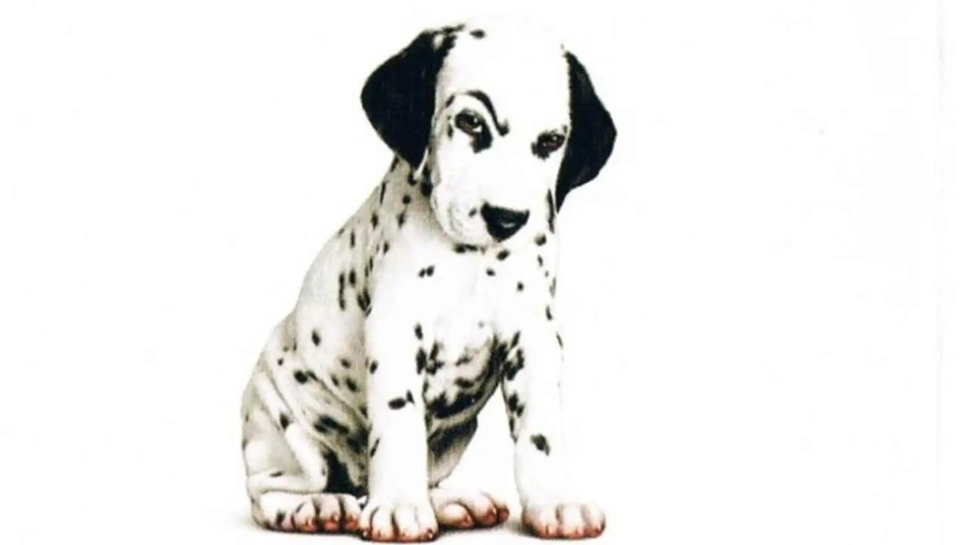 Watch and Download 102 Dalmatians 3