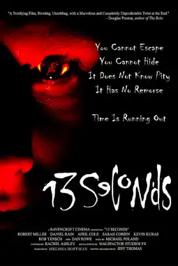 Watch and Download 13 Seconds 1