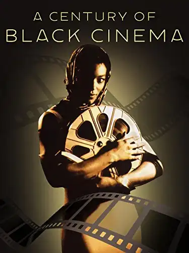 Watch and Download A Century of Black Cinema 2