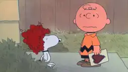 Watch and Download A Charlie Brown Valentine 3