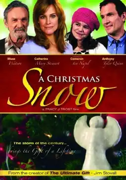 Watch and Download A Christmas Snow 3