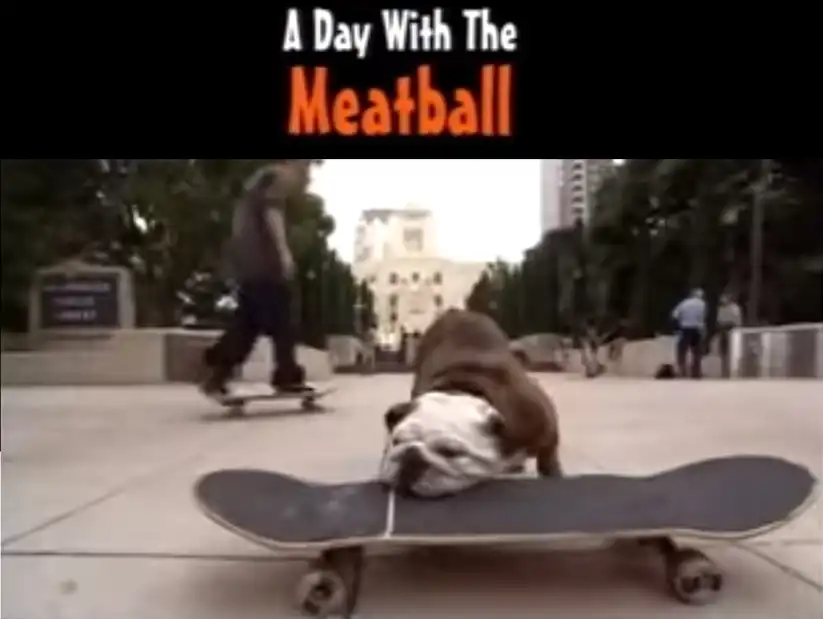 Watch and Download A Day with the Meatball 1