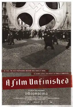 Watch and Download A Film Unfinished 2