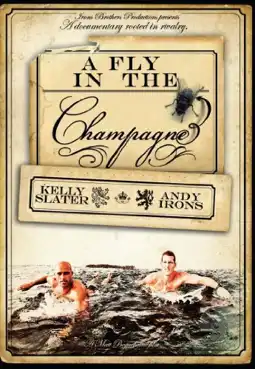 Watch and Download A Fly in the Champagne 3