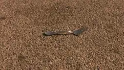 Watch and Download A Fork in the Road 3