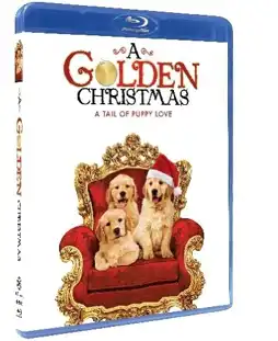 Watch and Download A Golden Christmas 5