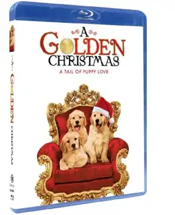 Watch and Download A Golden Christmas 6