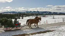 Watch and Download A Heartland Christmas 5