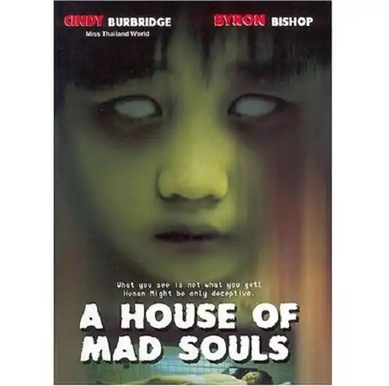 Watch and Download A House of Mad Souls 1