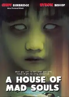 Watch and Download A House of Mad Souls