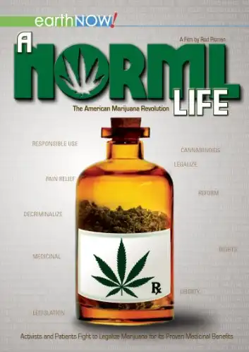 Watch and Download A Norml Life 1