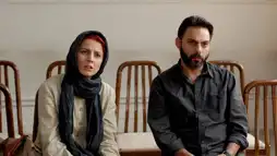 Watch and Download A Separation 2