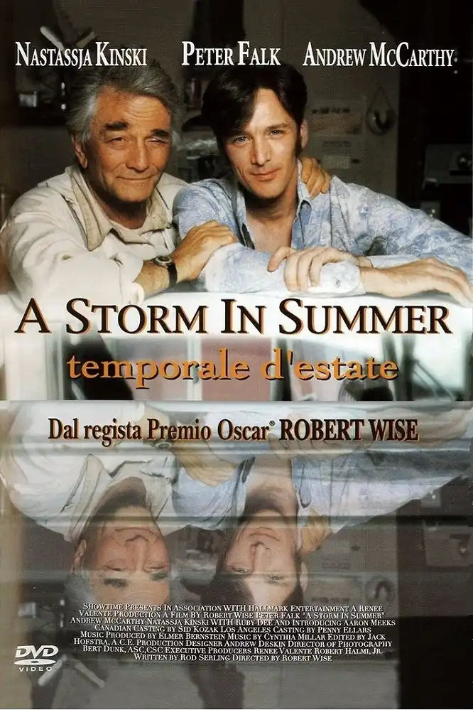 Watch and Download A Storm in Summer 14