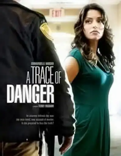 Watch and Download A Trace of Danger 2