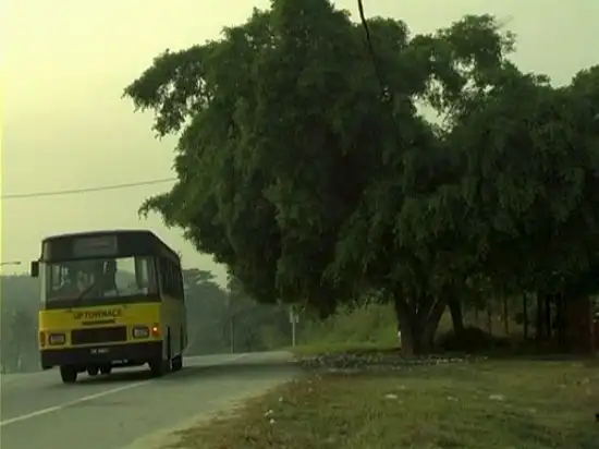 Watch and Download A Tree in Tanjung Malim 1