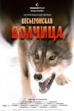 Watch and Download A Wolf from Vesyegonsk