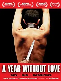 Watch and Download A Year Without Love 2