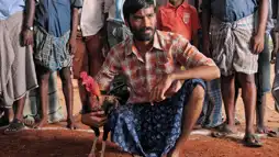 Watch and Download Aadukalam 1