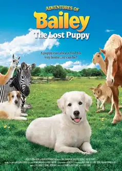Watch and Download Adventures of Bailey: The Lost Puppy