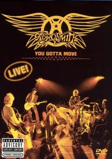 Watch and Download Aerosmith - You Gotta Move 4