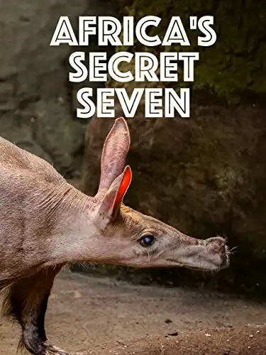 Watch and Download Africa's Secret Seven 1