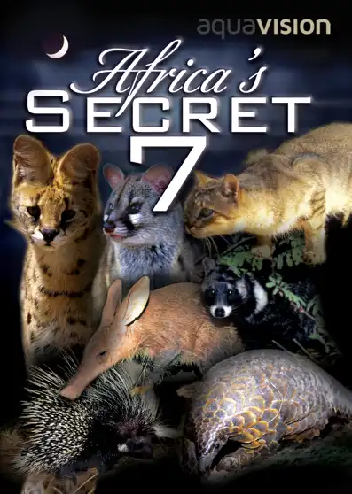 Watch and Download Africa's Secret Seven 2