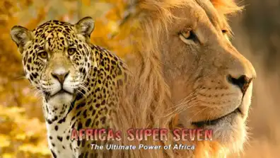 Watch and Download Africa's Super Seven 14