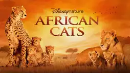 Watch and Download African Cats 2