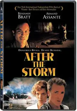 Watch and Download After the Storm 10