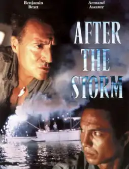 Watch and Download After the Storm 11