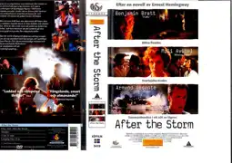 Watch and Download After the Storm 12