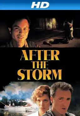 Watch and Download After the Storm 3