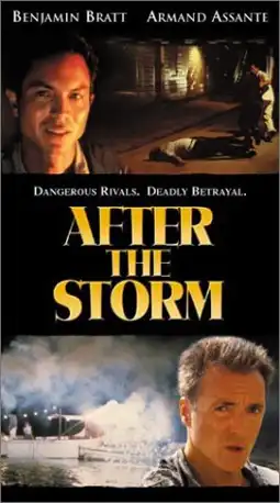 Watch and Download After the Storm 5