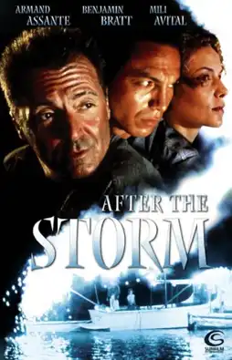 Watch and Download After the Storm 6