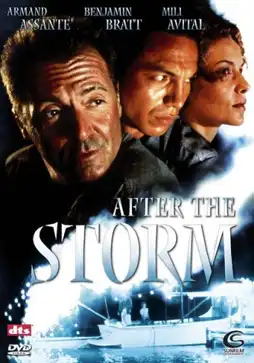 Watch and Download After the Storm 7