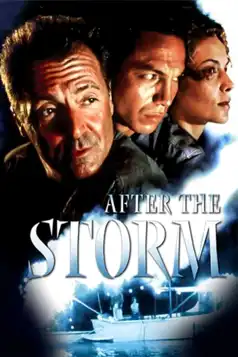 Watch and Download After the Storm