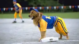 Watch and Download Air Bud: Seventh Inning Fetch 2