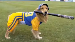 Watch and Download Air Bud: Seventh Inning Fetch 3