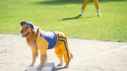 Watch and Download Air Bud: Seventh Inning Fetch 4