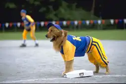 Watch and Download Air Bud: Seventh Inning Fetch 6