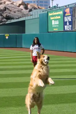 Watch and Download Air Bud: Seventh Inning Fetch 7