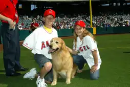 Watch and Download Air Bud: Seventh Inning Fetch 9