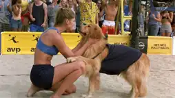 Watch and Download Air Bud: Spikes Back 2