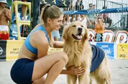 Watch and Download Air Bud: Spikes Back 4