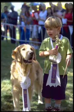 Watch and Download Air Bud: Spikes Back 6