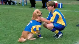 Watch and Download Air Bud: World Pup 1