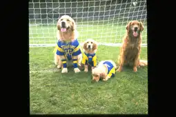 Watch and Download Air Bud: World Pup 10