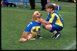 Watch and Download Air Bud: World Pup 11