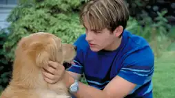 Watch and Download Air Bud: World Pup 4