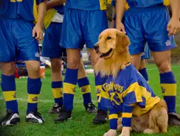 Watch and Download Air Bud: World Pup 5